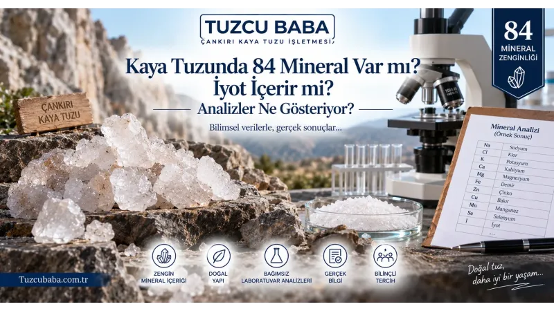 Kaya Tuzunda 84 Mineral Var mı? İyot İçerir mi? Analizler Ne Gösteriyor?