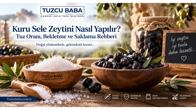 Kuru Sele Zeytini Nasıl Yapılır? Tuz Oranı, Bekletme ve Saklama Rehberi